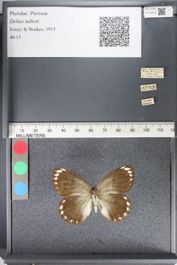 Media type: image;   Entomology 130078